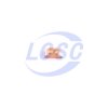 Littelfuse 0429007.WRML