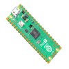 כרטיס פיתוח Raspberry Pi Pico 2 ללא מחברים
