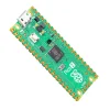 כרטיס פיתוח Raspberry Pi Pico 2 ללא מחברים