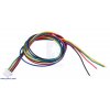 מחבר JST-SH 5-pin עם חוטים - 30 ס"מ