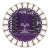 מתאם XBee ל-LilyPad - גרסה קודמת