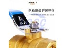 תמונה של מוצר  AMICO Q11F-20T-DN10-266