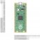 כרטיס פיתוח Raspberry Pi Pico ללא מחברים