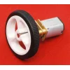 מנוע מיקרו LP 45rpm @ 6V